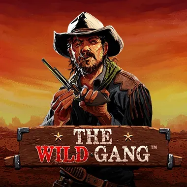 THE WILD GANG - Book Of Bet Casino